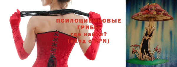 a pvp Щучье