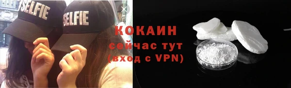 хмурый Мегион