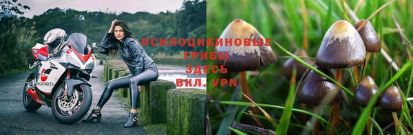 гидропоника Медногорск