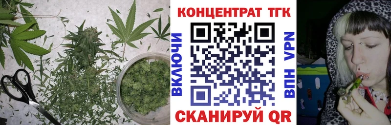 ТГК концентрат  Венёв 