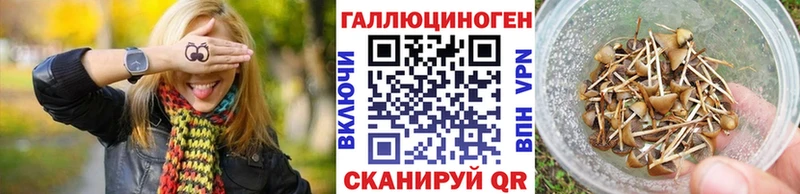 Псилоцибиновые грибы ЛСД  Венёв 